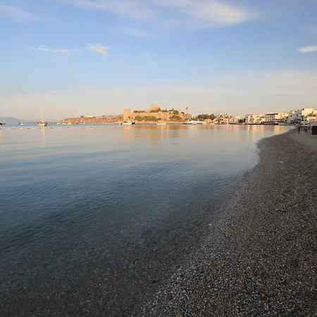 Artemis Otel 2*