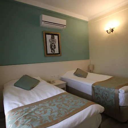 Artemis Otel 2*