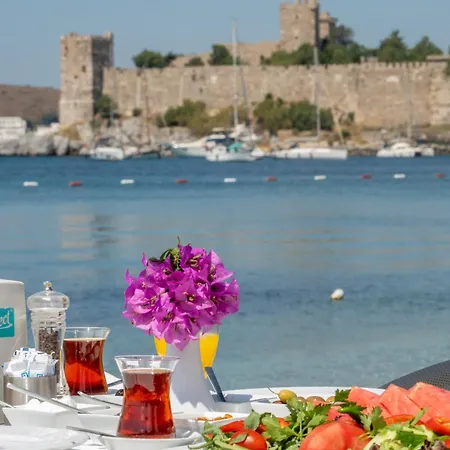 Artemis Otel
