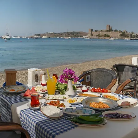 Artemis 2* Bodrum
